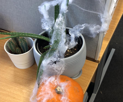 Scary Plant & Pumpkin